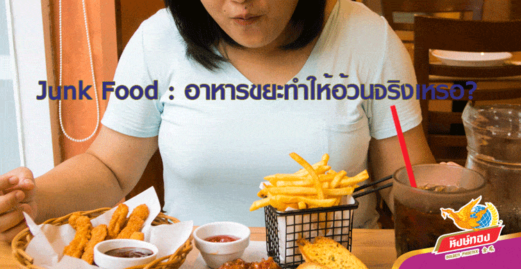 ปก Junk Food : อาหารขยะทำให้อ้วนจริงเหรอ?
