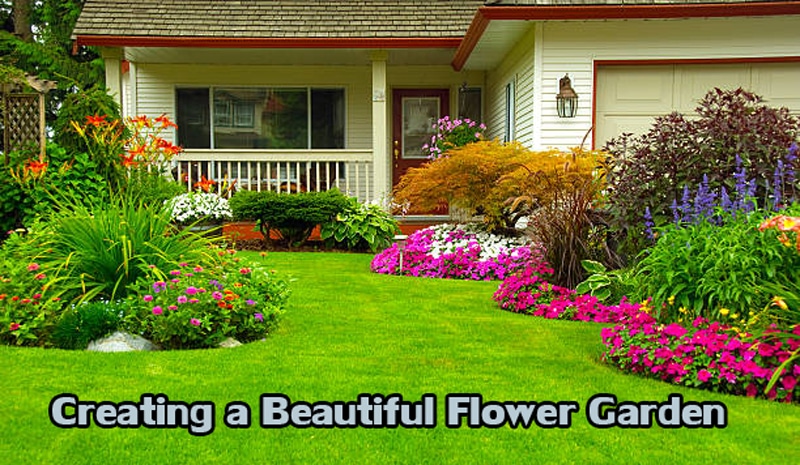 Creating a Beautiful Flower Garden: Tips and Tricks